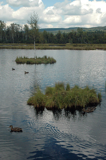 Zájezd na Země Živitelku a na Šumavu 2010