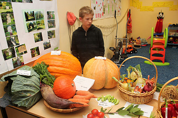 Zahrádkářská výstava 2013