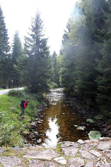 Výlet na Šumavu