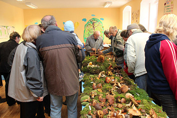 Houbařská výstava 2013