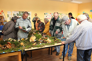 Houbařská výstava 2013