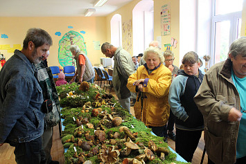 Houbařská výstava 2013