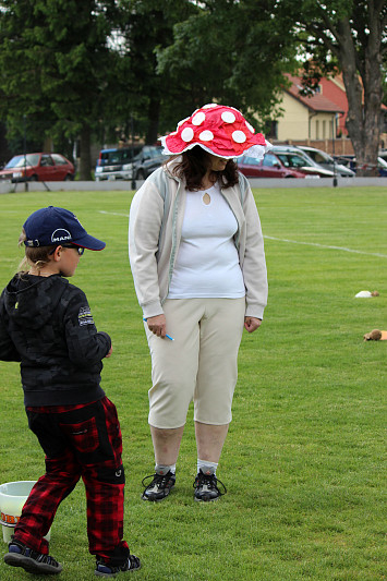 Z POHÁDKY DO POHÁDKY V KASEJOVICÍCH 2014