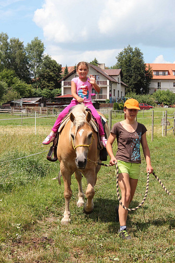 Příměstský tábor 2015 "Zlatá řemesla - nesla či nenesla?"