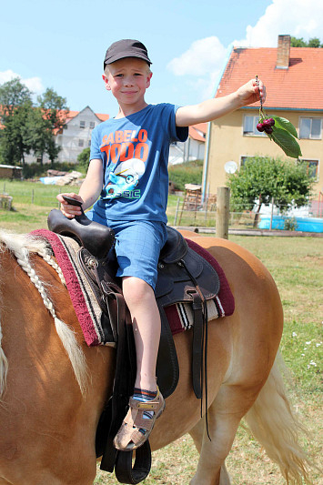 Příměstský tábor 2015 "Zlatá řemesla - nesla či nenesla?"