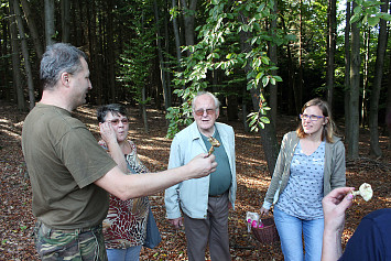 Houbařská vycházka