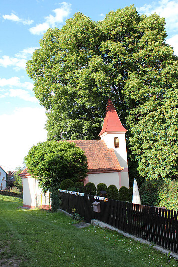 PAMÁTNÉ STROMY NA KASEJOVICKU BYLY ODBORNĚ OŠETŘENY