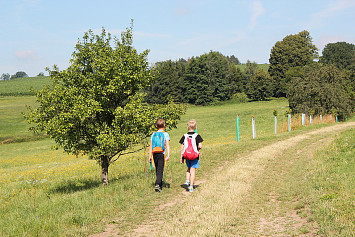 Příměstský tábor při Městské knihovně Kasejovice