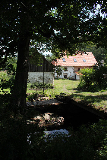 Příměstský tábor při Městské knihovně Kasejovice