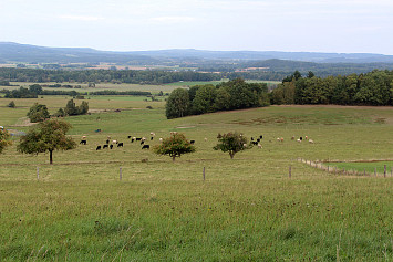 Zavírání studánek