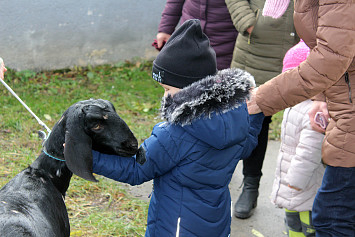 Výstava chvatelů v Kasejovicích